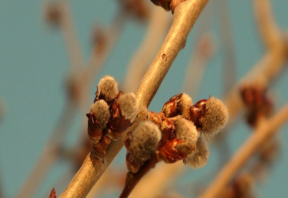 Astăzi vremea va fi în general frumoasã. Ce zone vor face excepție