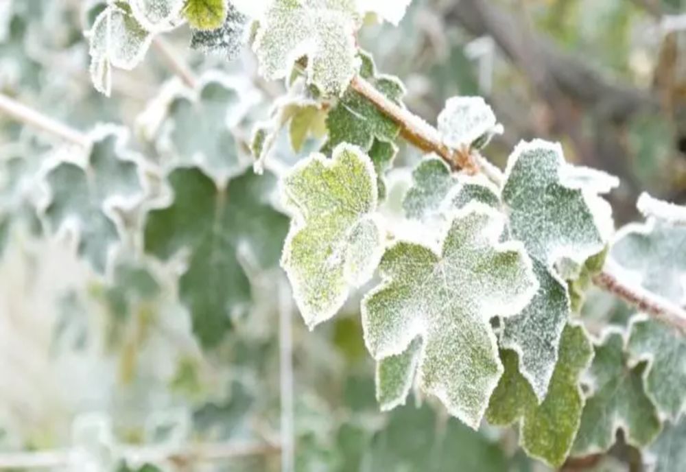 VREMEA 19 OCTOMBRIE. RĂCIRE SEMNIFICATIVĂ A VREMII