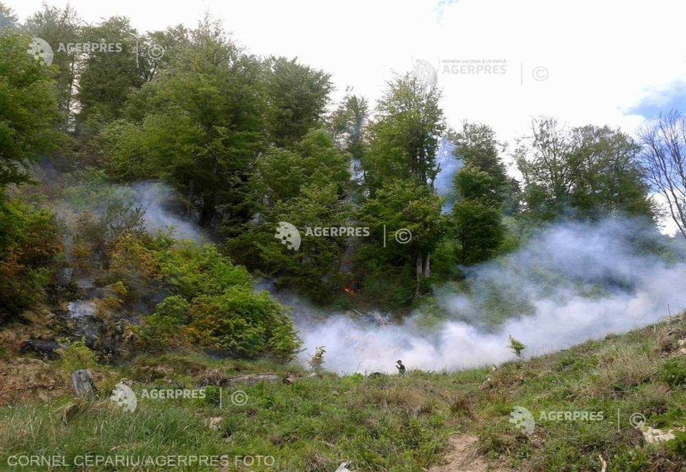 PĂDUREA DE LA BĂILE OLĂNEŞTI A LUAT FOC DIN NOU; ARDE FRUNZĂ USCATĂ PE UN HECTAR