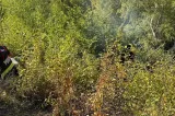 Vâlcea: Incendiu de pădure în apropiere de Valea Oltului, intervenție îngreunată de terenul accidentat