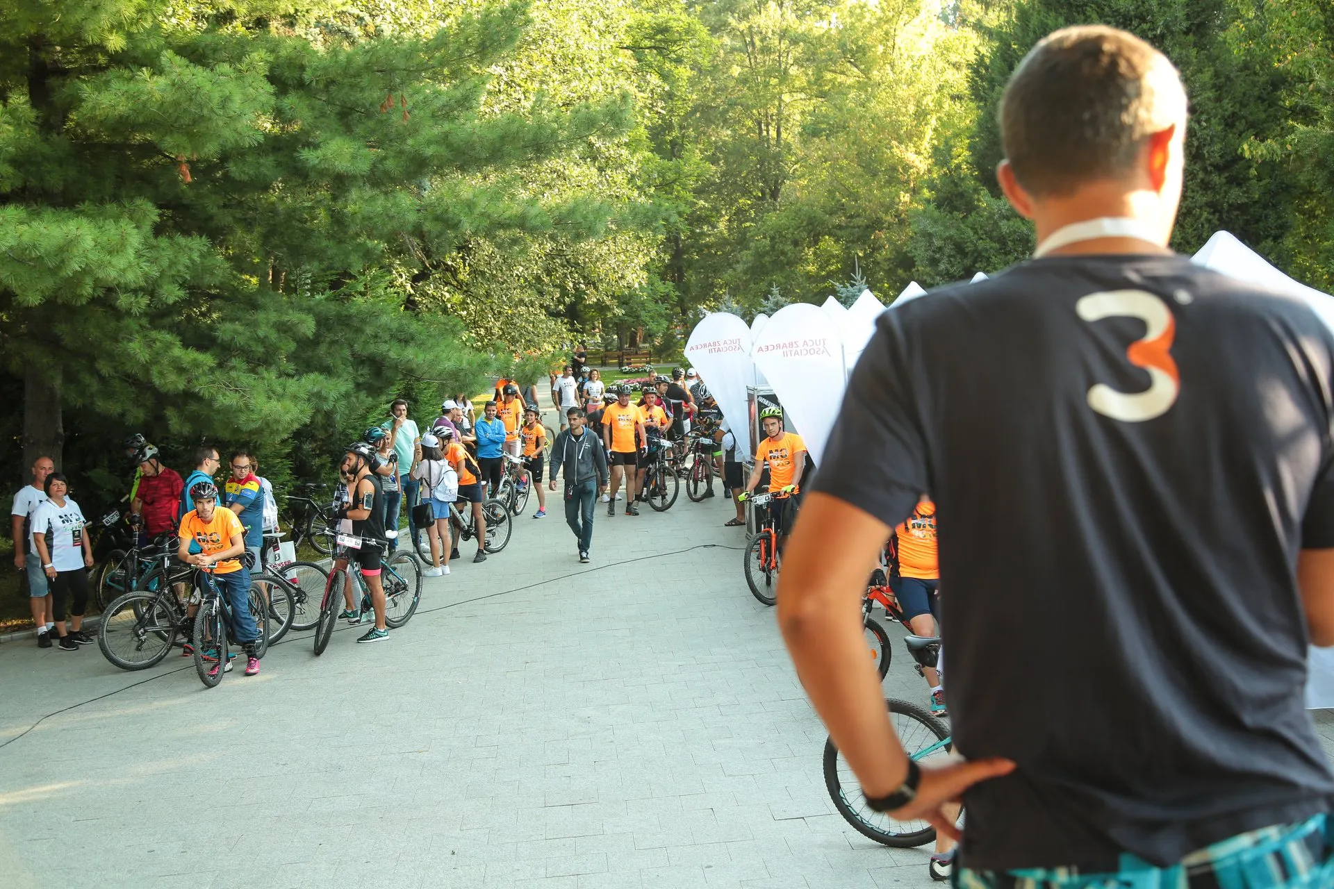 maraton Valcea