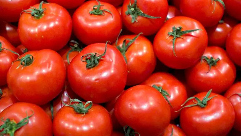 tomate