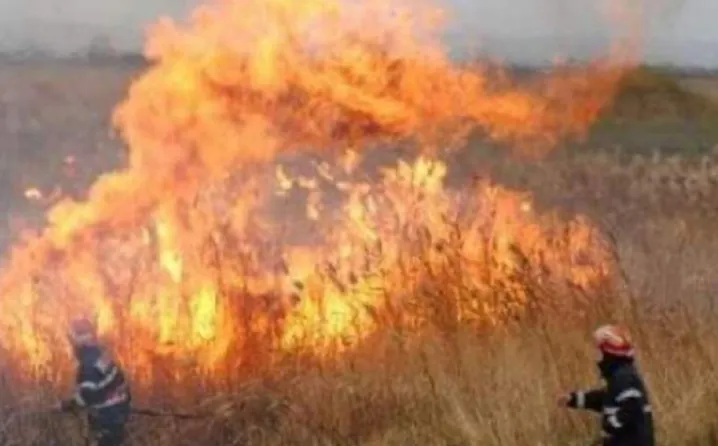 526D173D-4C85-4A21-BB74-54DB0FBFB501