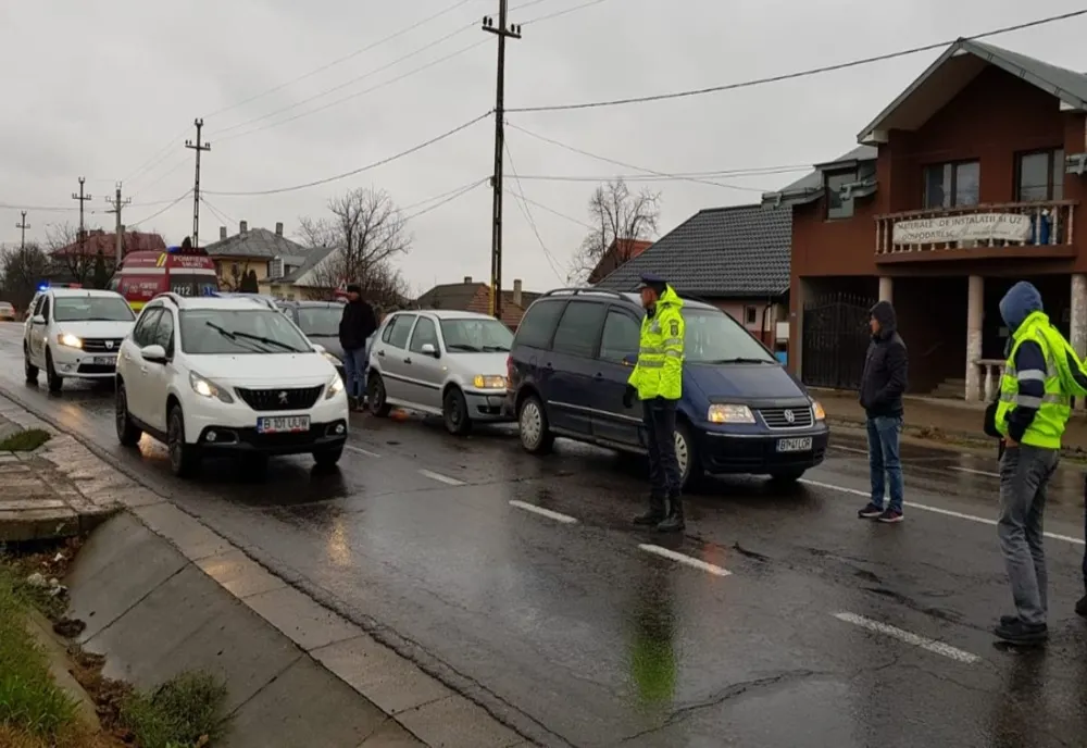 Actiune a politistilor pe linia comertului cu animale vii