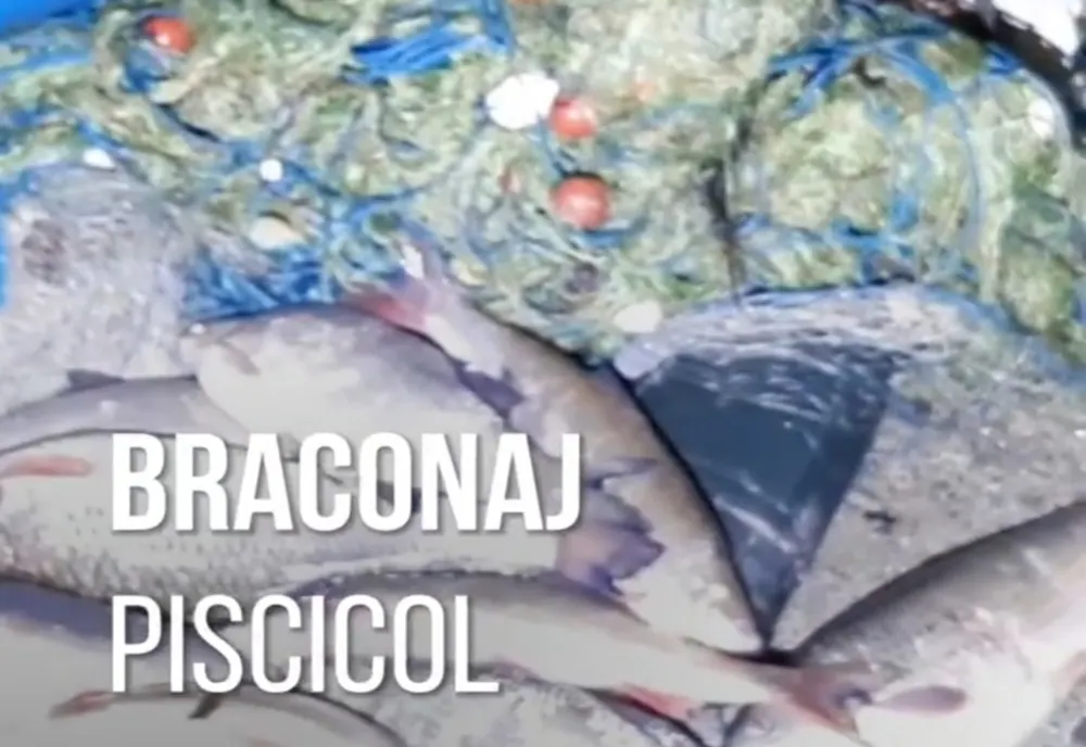 Braconaj piscicol și acțiuni de prevenție în Vâlcea