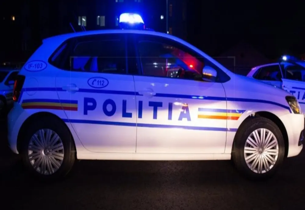 Accident lângă Vârful Cozia, Vâlcea