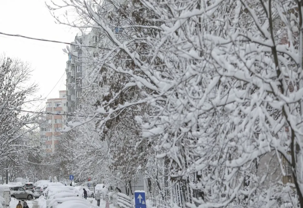 Ninsori viscolite. Trafic oprit