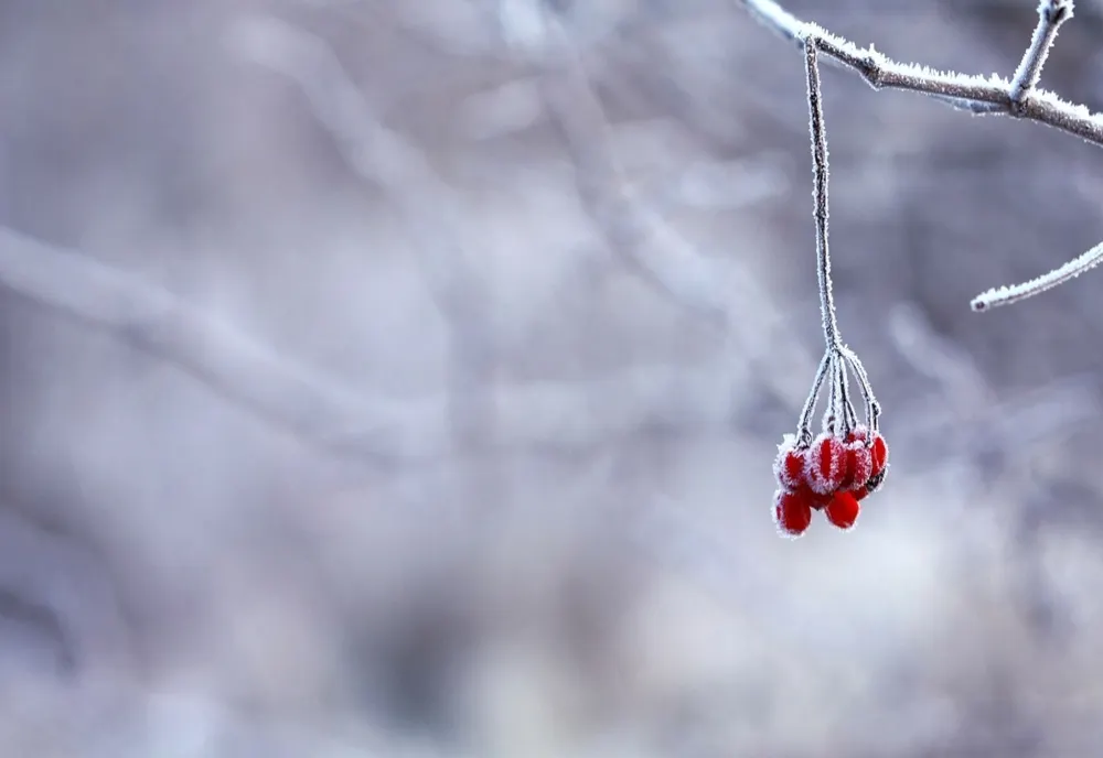 Vremea 17 decembrie - Răcire bruscă a temperaturii
