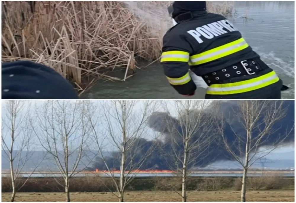 Incendiu de vegetaţie pe o insulă din Vâlcea