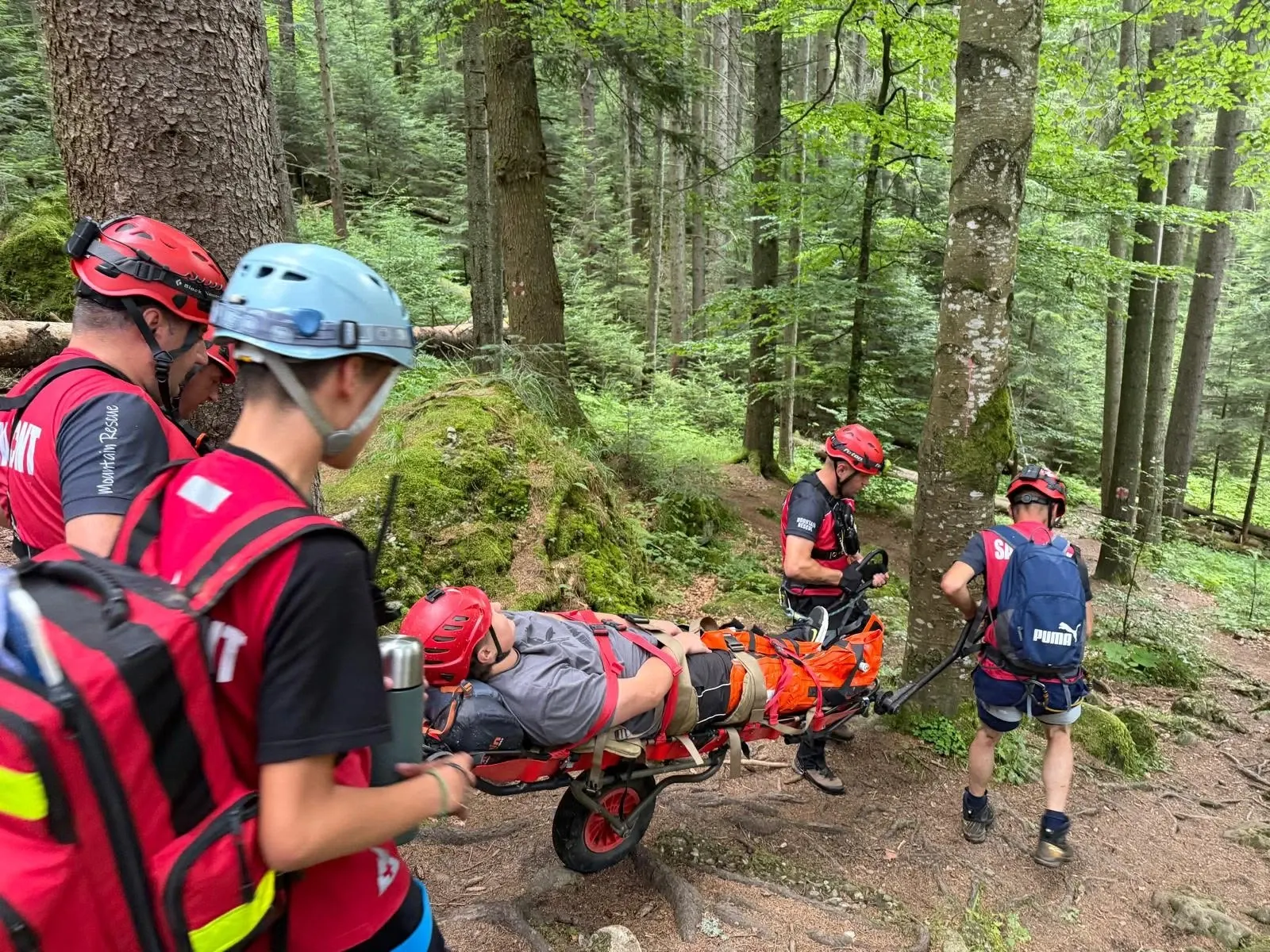 Intervenții Salvamont