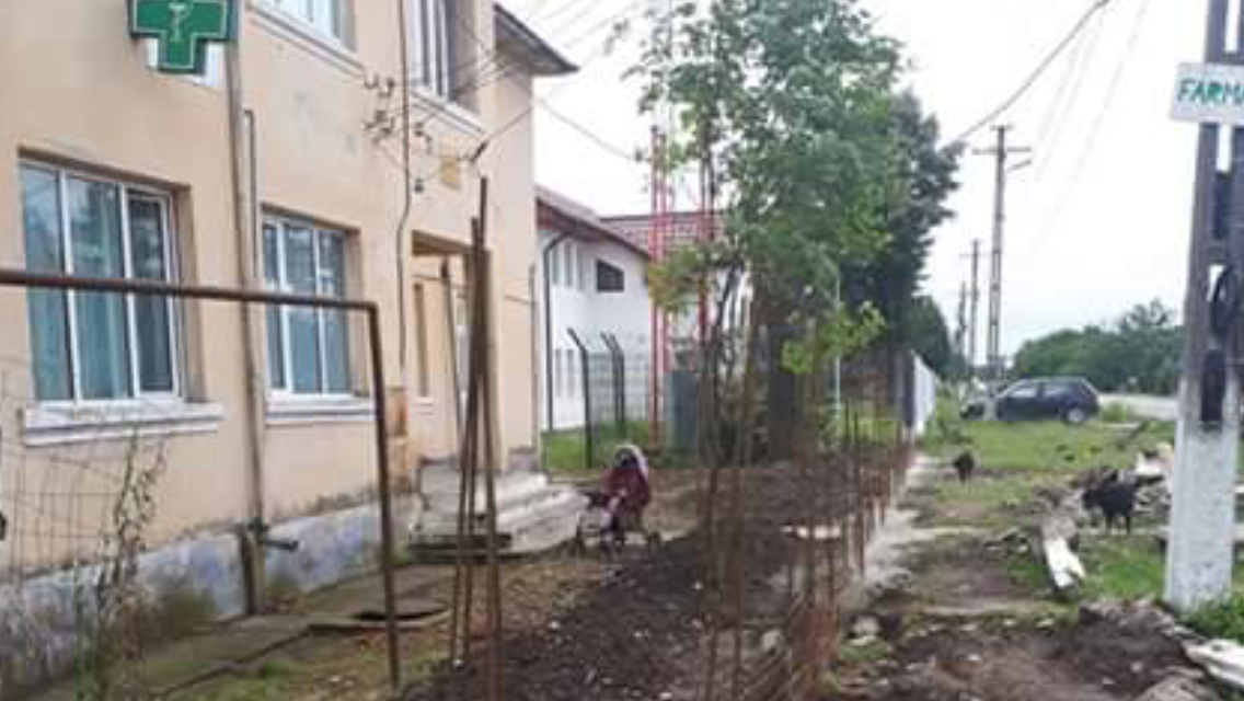 303BE157-5553-4A54-B76A-BEF0B3260AF1