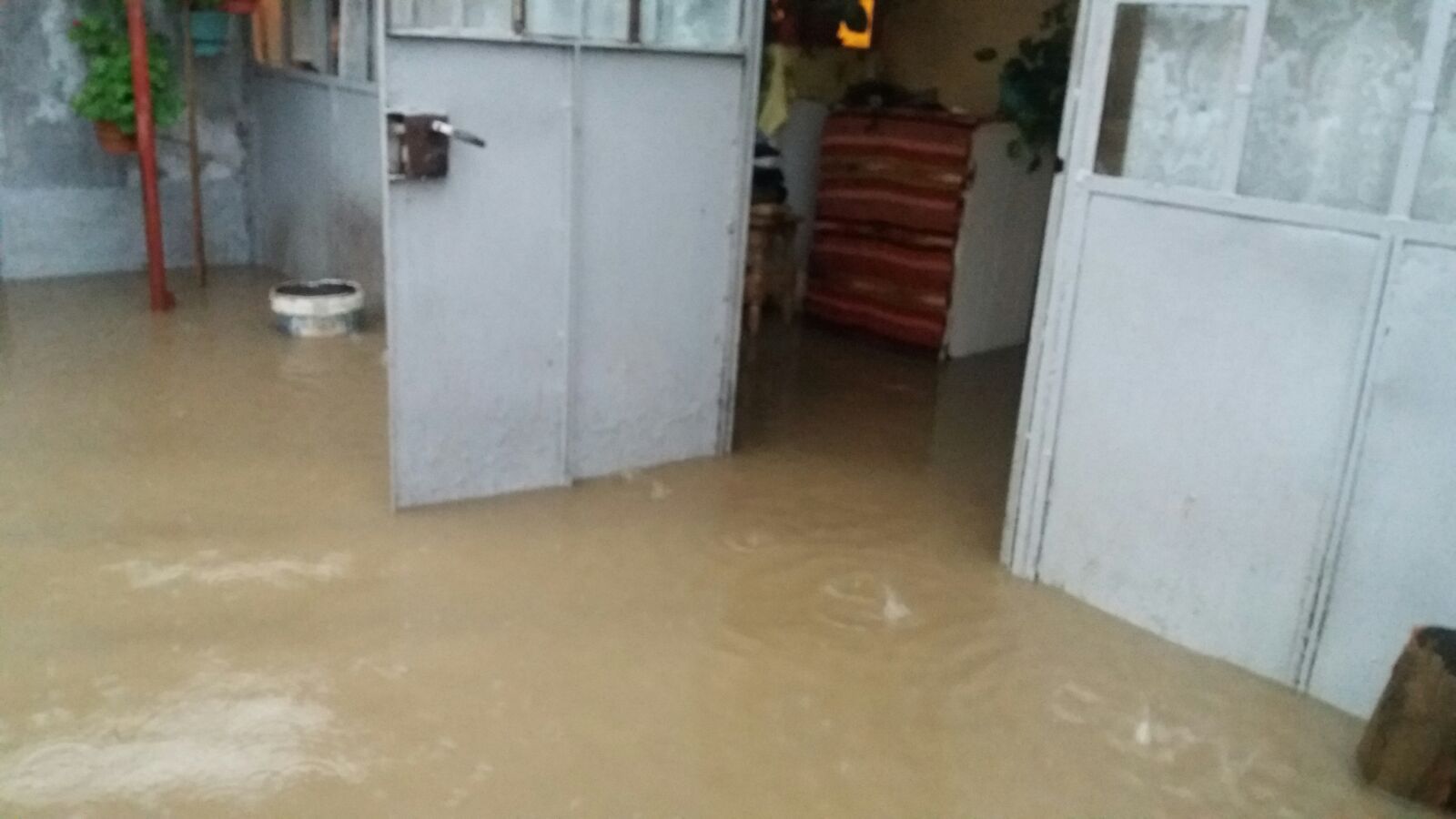 784E4DE6-B725-4012-B66E-5249026ED40B