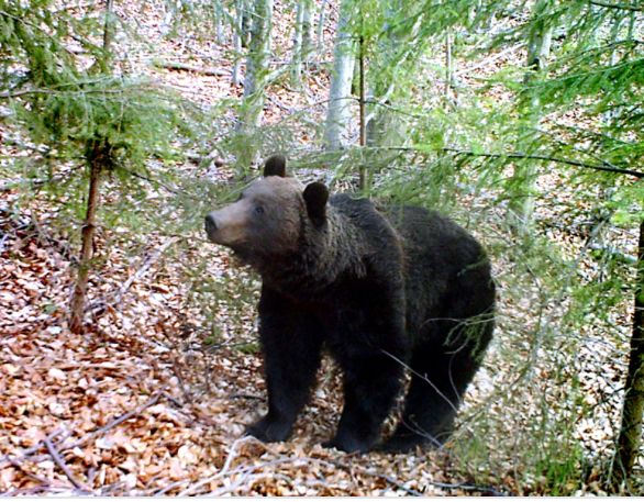 0DD898F9-745B-45F7-BBEE-00BEADBA4425