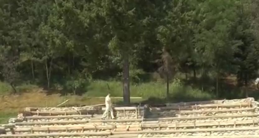 BD160CD3-5A04-4A9F-847B-C65FE176D6DD