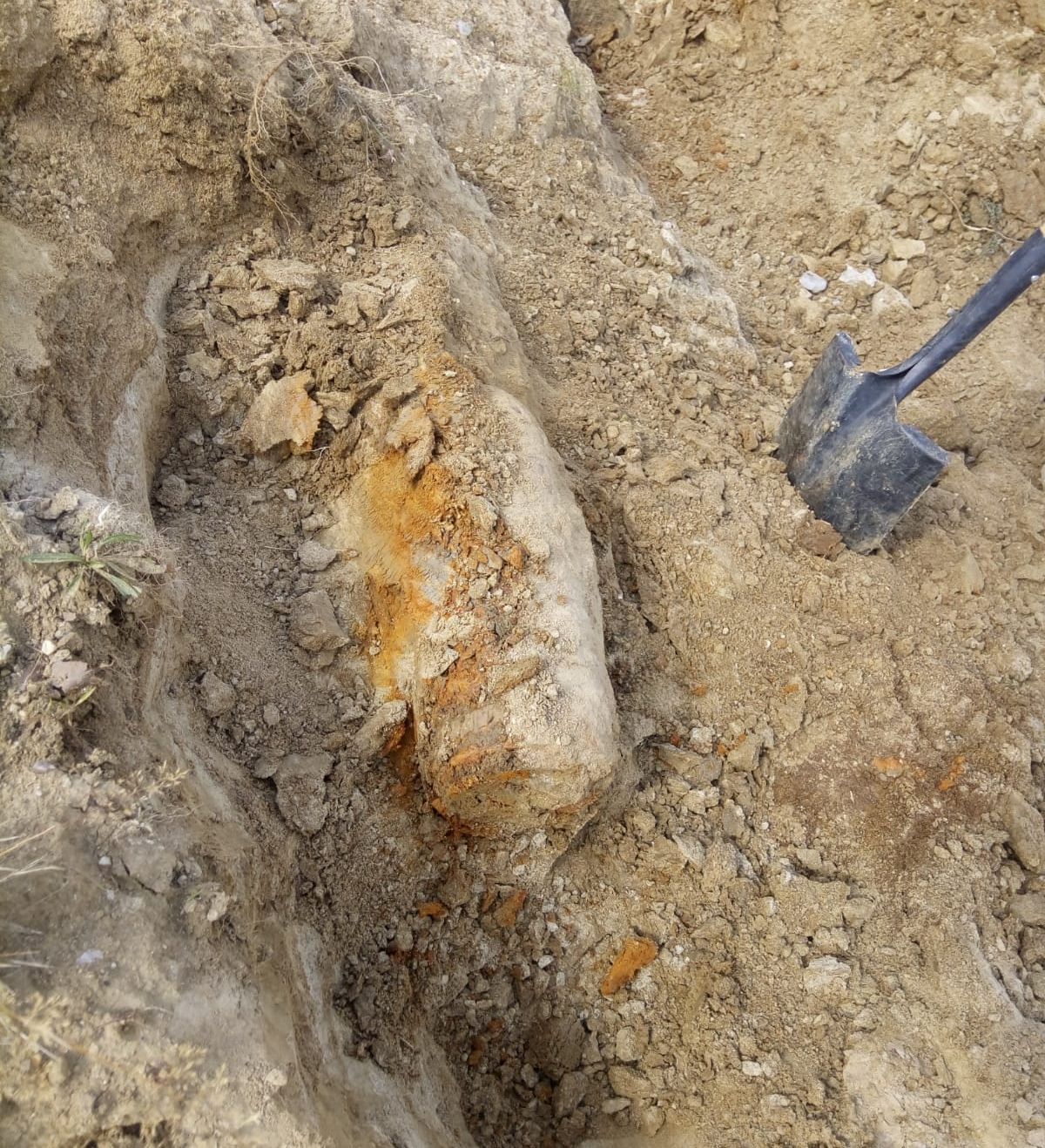 WhatsApp Image 2018-08-28 at 08.09.42