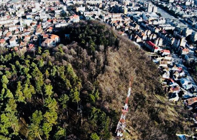 65E349FC-903A-446D-84E6-8BE56D2AF893