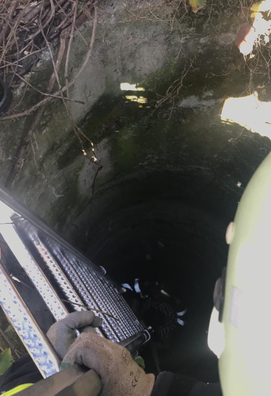 WhatsApp Image 2018-10-09 at 15.11.42