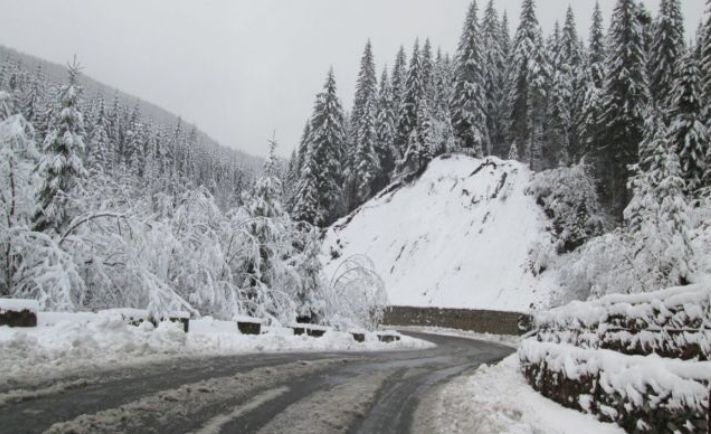 33AF6D34-ACBB-4358-A445-9DF5FF490560