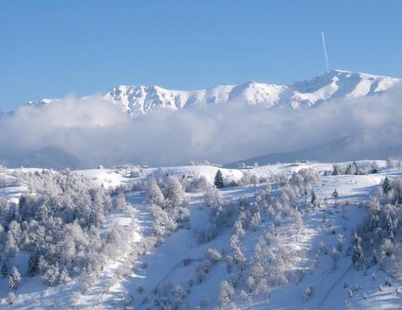 3BAE3E01-7620-4435-BAB0-B591389430F8