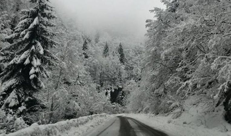 4AEF1CA1-E3DC-448B-9458-CA33B6F47B6A