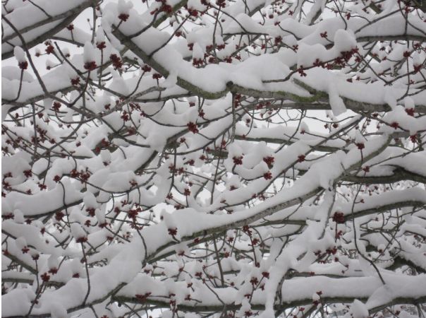 B9E8133B-AFC1-4483-8958-3FAED15C63F9