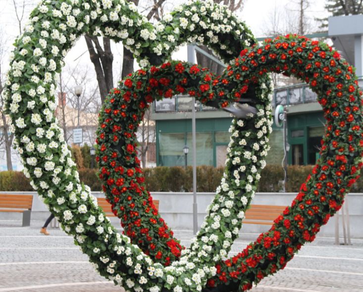 32EE4988-B010-4309-B1E7-94C0CA302D29