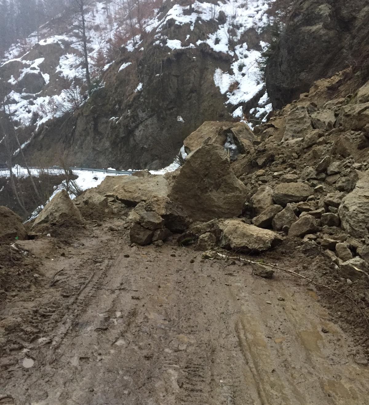 3B15BB9A-850F-4239-BF54-9DA14B2EAB5F