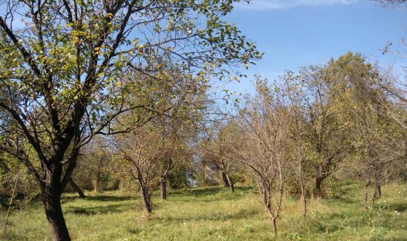 EE5DA754-EE46-411D-8C1E-99DB06386E2B