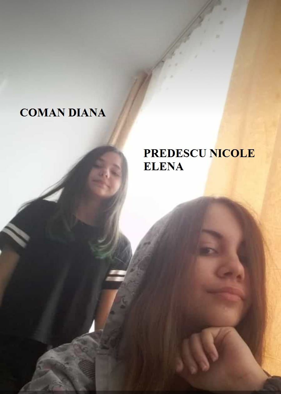 0E11D69C-DCD1-4078-BB8E-32020F178DAF