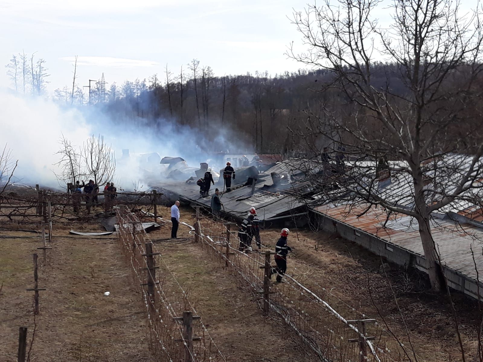 WhatsApp Image 2019-03-05 at 13.19.32