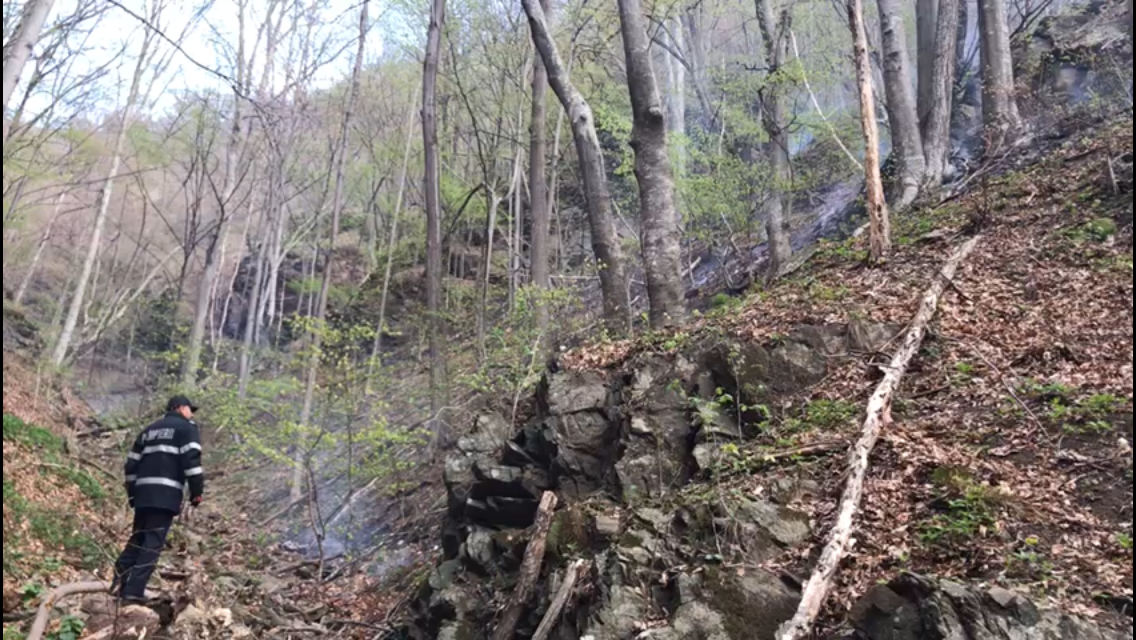 A3C046AC-64BA-4F86-8F86-23762950BFE4