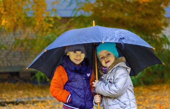 7ED7DD2E-7673-4411-809A-B0C90DB178EF