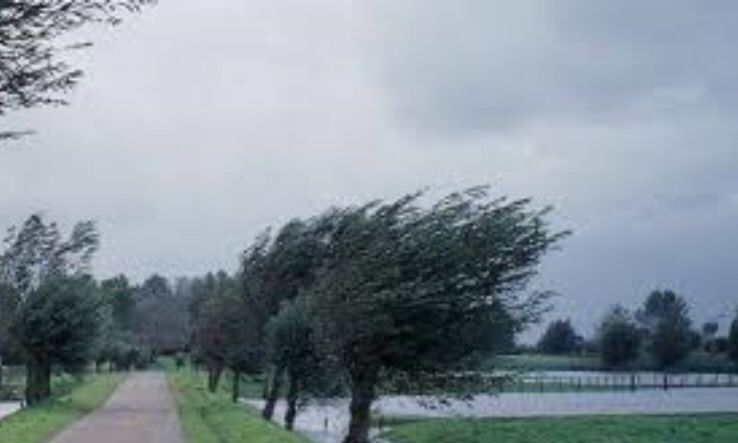 ABE28717-628D-44C5-B5F5-0416F134D835