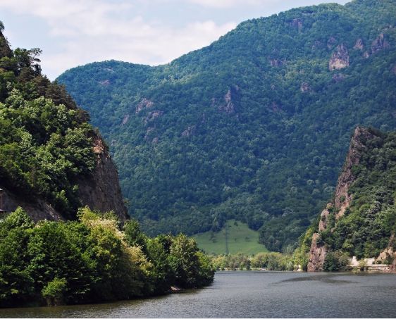 52DBE296-7B71-4D9E-B452-D98A94653C15