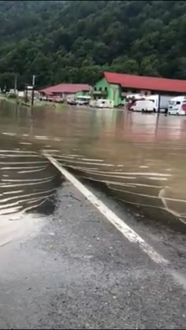 A4C905B4-18EA-491C-9873-5893901A18C4