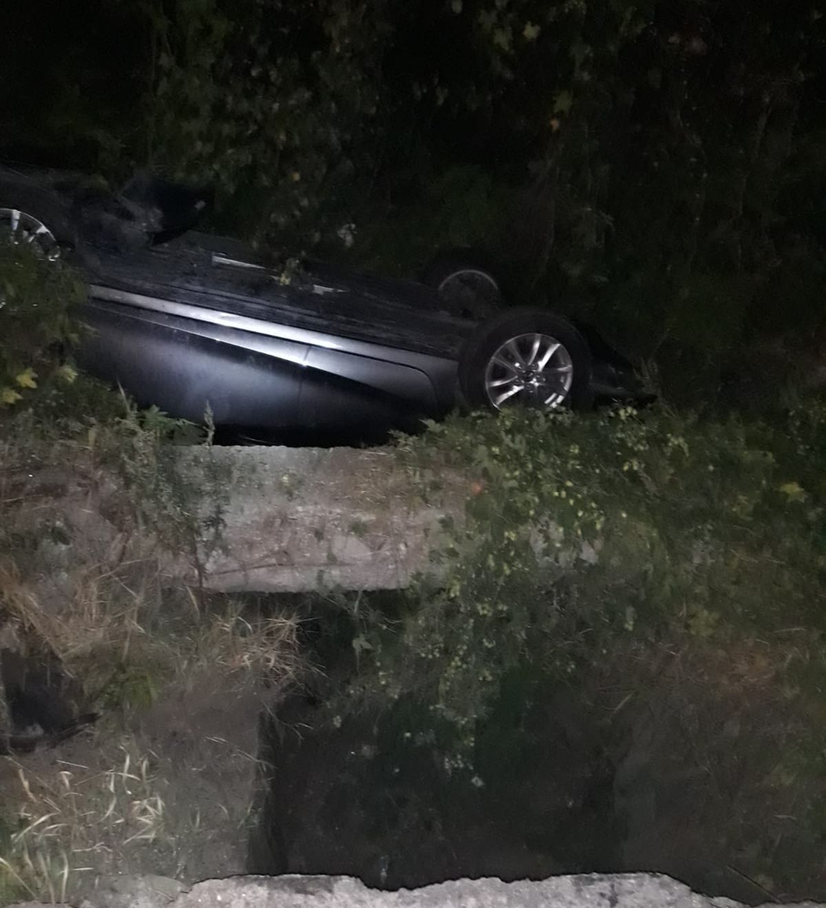 WhatsApp Image 2019-09-02 at 07.22.48