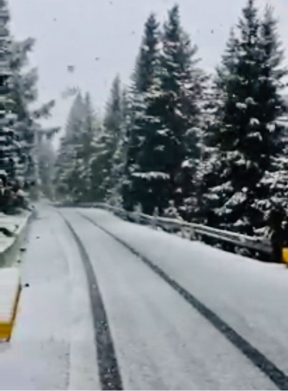 255D5299-E5A9-4075-9E69-CE5C38D48F8A