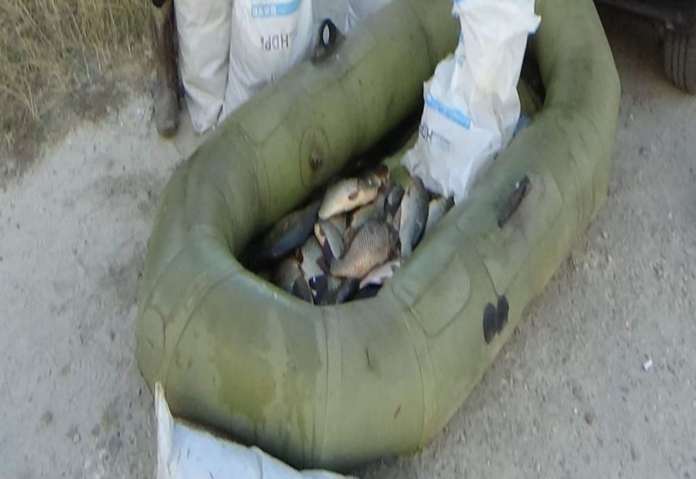 Surprins de jandarmi la pescuit ilegal !