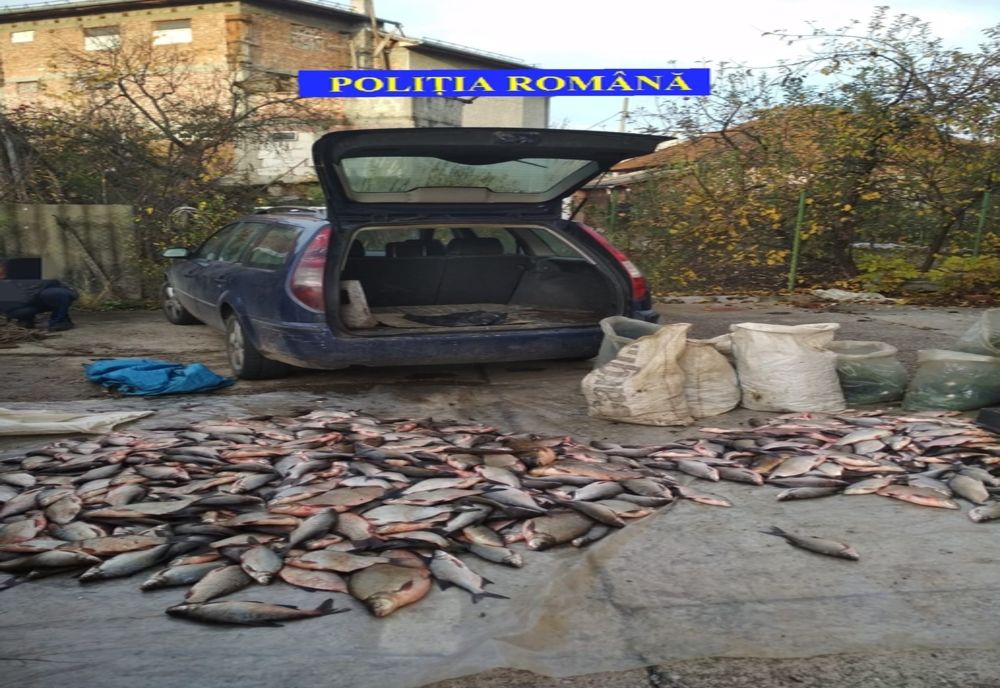 Actiune pe linie piscicola in judetul Valcea