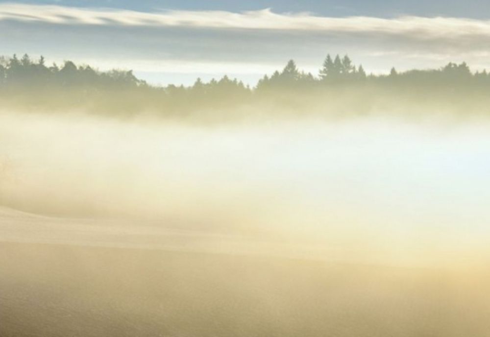 Ceață densă în mai multe județe ale țării