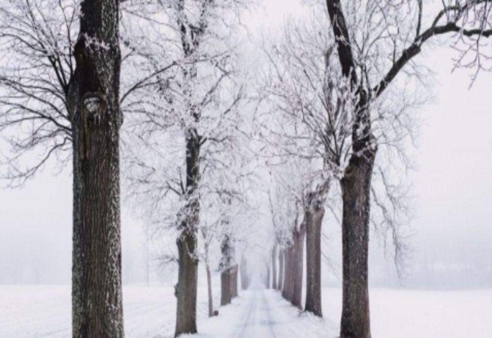 Trafic restricționat pe Valea Oltului