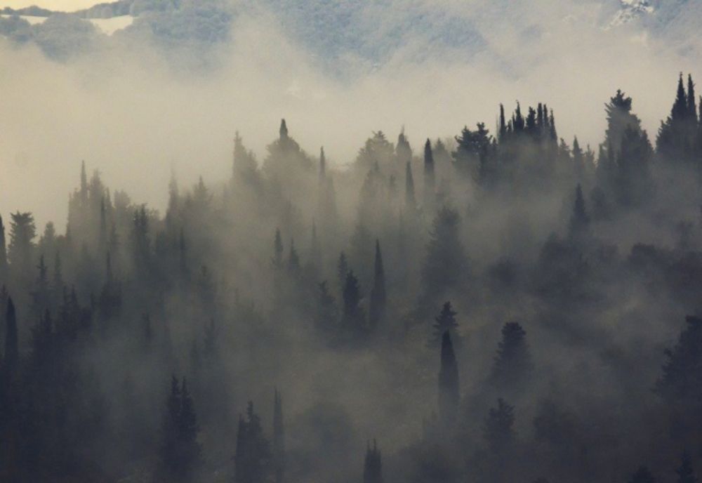 Vâlcea: Cod galben de ceață. Trafic îngreunat