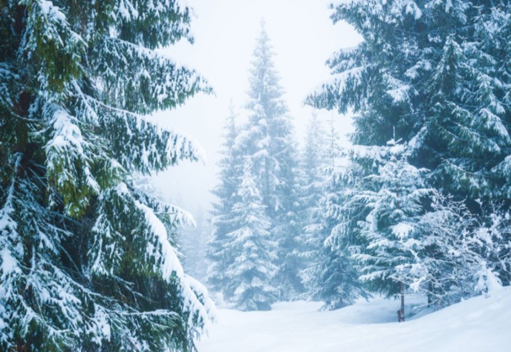 Weekend ul vine însoțit de ninsori și vânt