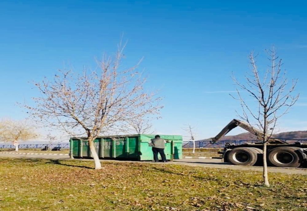 Spațiu special pentru colectarea brazilor de Crăciun