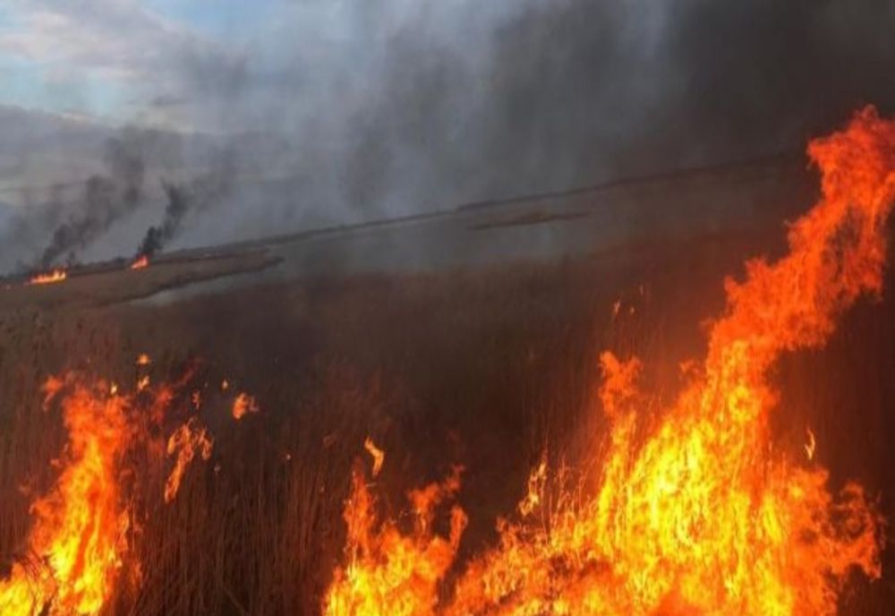 Incendiu de vegetație. Trafic îngreunat