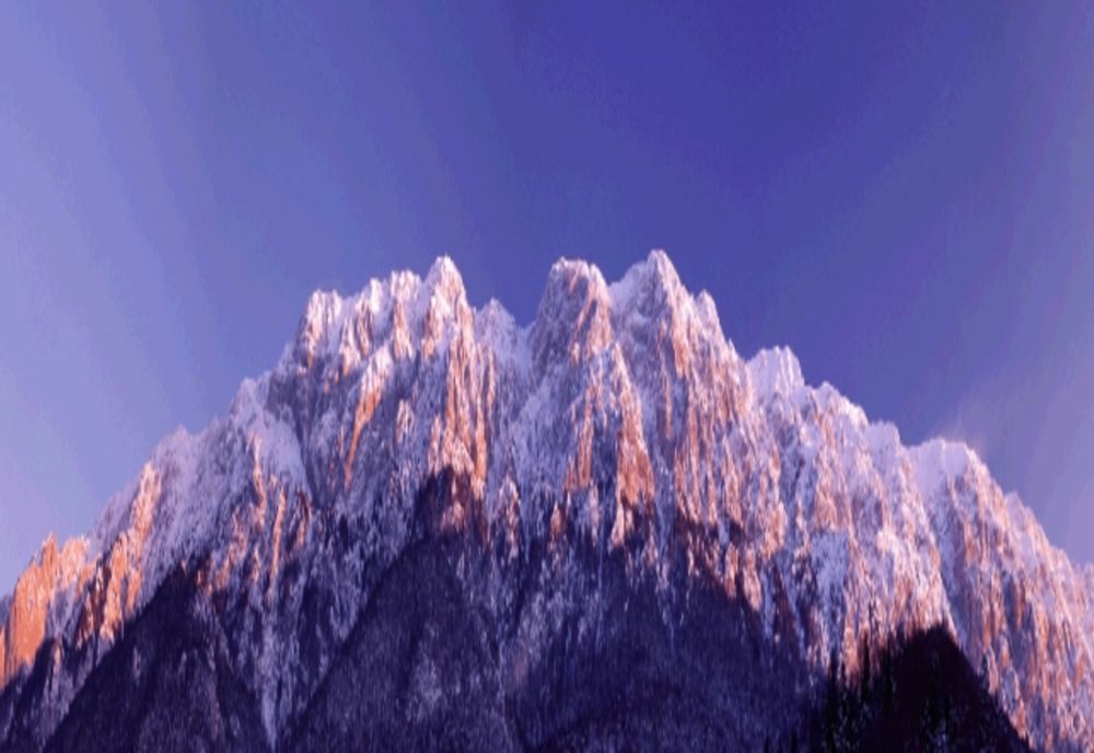 Regia Națională a Pădurilor Romsilva va avea, începând de astăzi, un nou director, provizoriu