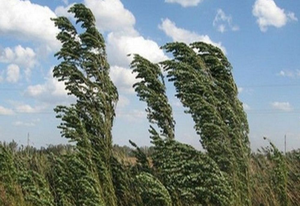 Vâlcea sub incidența codului galben de vânt