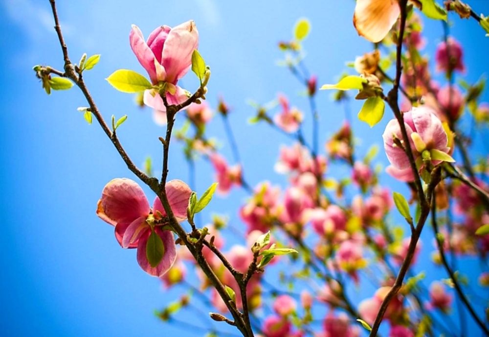 Vremea se schimbă la început de săptămână