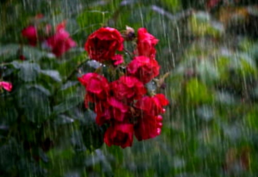 Sfârșit de săptămână cu soare și ploi. Atenționare meteo de la ora 13 00