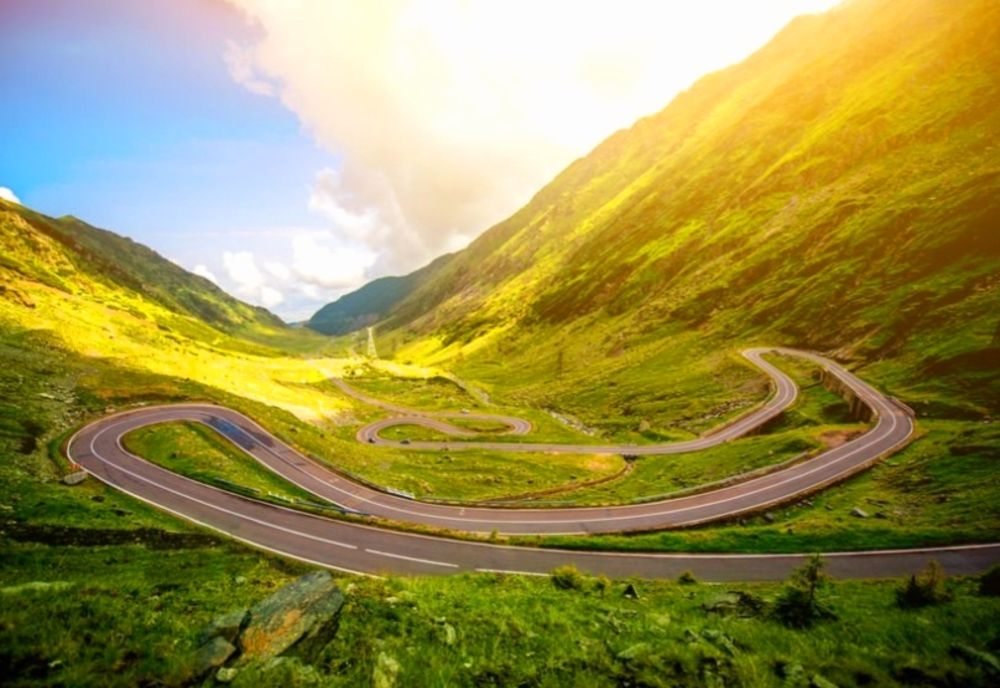 Avertizare! A fost semnalată prezența urșilor în zona Transfăgărăsan, deschisă astăzi